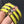 H Pig Nose Yellow Bracelet