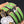 H Pig Nose Light Green Bracelet
