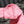 bv teen jodie 36cm pink lambskin