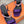 hm glamour 95 violet silk fabric black calfskin