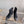 CC Low-Cut Logo Ankle Boots 50mm Black Suede Frabic 464557