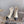 CC Low-Cut Logo Ankle Boots 50mm Black White Sheepskin Frabic 464559