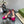 GG 105 HIGH HEEL SANDAL METALLIC PURPLE LAMBSKIN