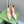 GG 105 BASIC HIGH HEEL CREAM LAMBSKIN