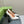 GG 105 BASIC HIGH HEEL WHITE LAMBSKIN
