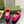BLONDIE LOGO-PLAQUE LOAFERS IN FUSCIA PINK SUEDE