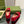 BLONDIE LOGO-PLAQUE LOAFERS IN CRIMSON RED SUEDE