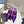PRA HIGH-HEELED MULES VIOLET SATIN