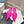 PRA POINTED-TOE MULES BRIGHT PINK SATIN