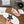CD Star Sneaker Pink Orange Suede And Calfskin