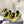 PRA SYSTEME BRUSHED SNEAKERS LEMON CALFSKIN