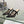 CD 25 Capture Heeled Mule Black Mesh