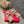 ROCKSTUD LAMINATED NAPPA WEDGE SANDAL 100 MM ROSE BROWN