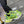 3XL SNEAKER IN NEON GREEN MESH AND POLYURETHANE