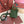 MICRO BALE BAG IN ARMY GREEN CALFSKIN