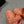 cc dad sandal mule pink orange calfskin