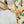 MINI SOFT TRUNK 18 IN VANILLA MONOGRAM CRAGGY CANVAS GOLD CHAIN