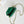 cc 24a nano 19cm kelly shopper bag green lambskin