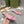 GG Slingback Flat Sandals pink