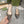 GG Slingback Flat Sandals Black Caro