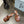 PRA PRINTED SLIDES SLIPPERS CINNAMON SATIN