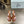 PRA PRINTED SLIDES SLIPPERS CINNAMON SATIN