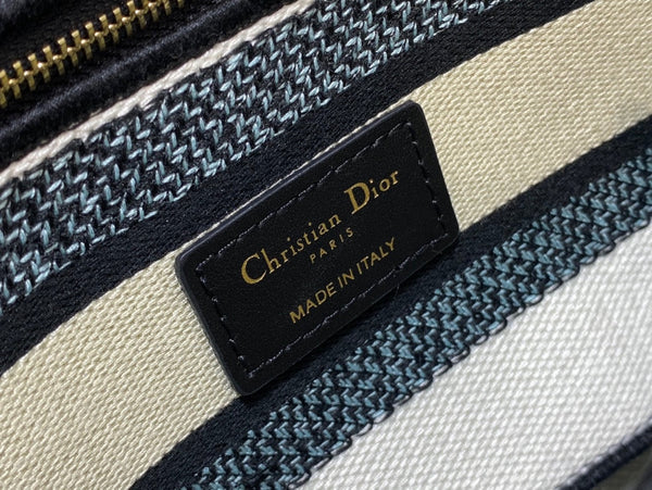 CD Travel Star Green 24 Lady Dior Bag Canvas 336666