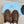 Prada Chukka Boots Coffee Brown Suede White Shearing 564159