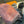 SCARF 190 CM IN SALMON PINK CASHMERE WITH WHITE LOGO 396328