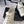 LOW-CUT BOOTS IN BLACK MIX WHITE CALFSKIN