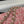 25C Flap Bag 20cm Pink Polka Dot Silver Sequin Calfskin