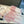 CC Scarf 180 CM In White Mix Pink Cashmere 416940