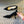 CD Tribales Pump 75mm In Black Suede 996955