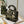 CD Black Magpie 24 Lady Dior Bag Canvas 336688
