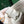 PETIT FLOT BUCKET BAG 22 IN WHITE GOYARDINE CANVAS AND LAMBSKIN TRIM