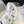3XL EXTREME LACE SNEAKER WHITE AND SILVER