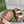 GC sandal with Double G Brown mix Beige Canvas Sheepskin 291016