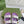 GC sandal with Double G Purple Canvas Sheepskin 291018