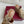 GC 25 Wedge With Horsebit Sandal Beige and Dark Brown Canvas 291029