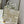CD Golden Magpie Book Tote 42cm Bag Canvas 336588