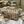 CD Hibiscus 24 Lady Dior Bag Canvas 336706