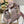 CD New Foundation Tiger 24 Lady Dior Bag Canvas 336733