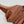 LP 25 V-neck Jacket Brown Tencel Linen 295400