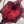 PRA bucket bag 19 burgundy nylon fabric 280831