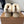 UGG Short Boots Light Beige Suede And Wool 514143