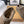 UGG TAZZ Slippers Chocolate Suede And Wool 514146
