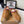 UGG TAZZ Slippers Tan Suede And Wool 514147