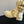 Dior 2025 Long Boot White Cowhide 501248