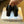 CD 25s D-Art Pumps 55mm Black Patent Leather