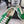 Pra 2025 Sneaker Green mix Gray Patent Leather Mesh 554582